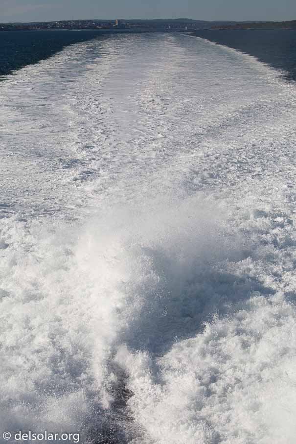 Canon EOS 5D Mark III  --  100 mm  --  EF100-400mm f/4.5-5.6L IS II USM  