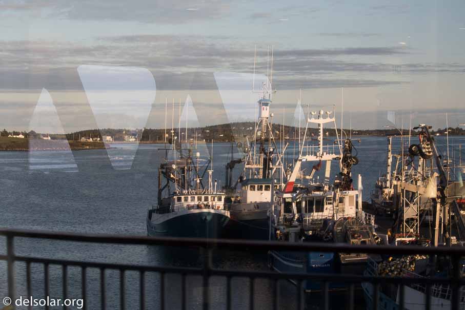 Canon EOS 5D Mark III  --  100 mm  --  EF100-400mm f/4.5-5.6L IS II USM  