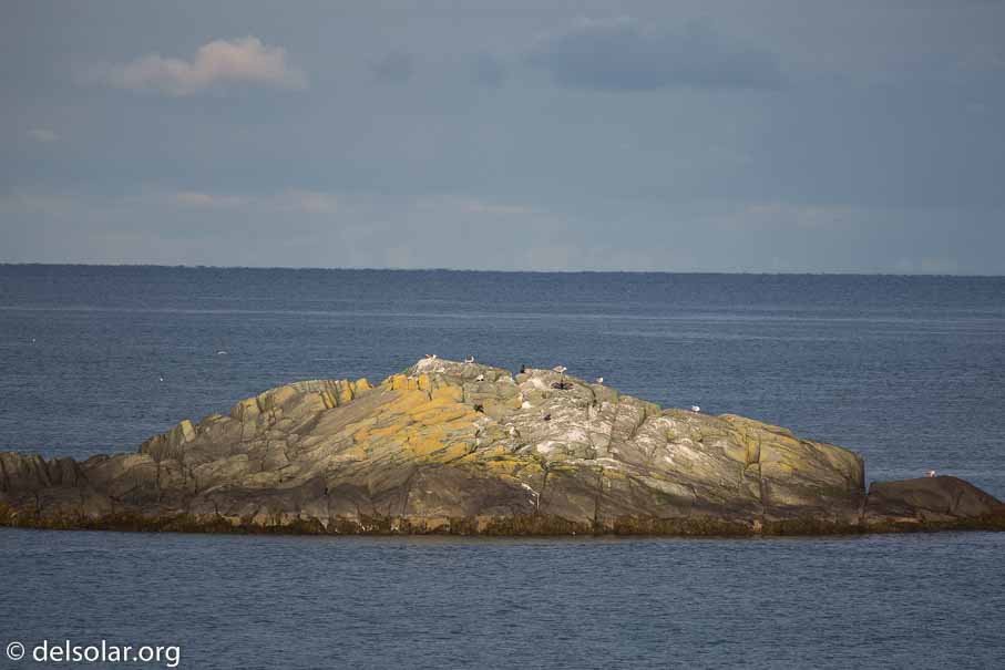 Canon EOS 5D Mark III  --  371 mm  --  EF100-400mm f/4.5-5.6L IS II USM  