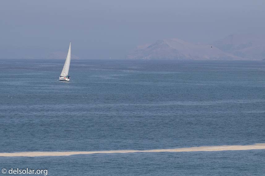 Canon EOS 7D Mark II  --  170 mm  --  EF100-400mm f/4.5-5.6L IS II USM  