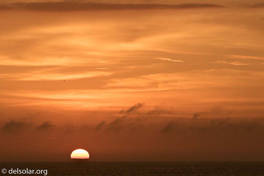 Canon EOS 7D Mark II  --  164 mm  --  EF100-400mm f/4.5-5.6L IS II USM  