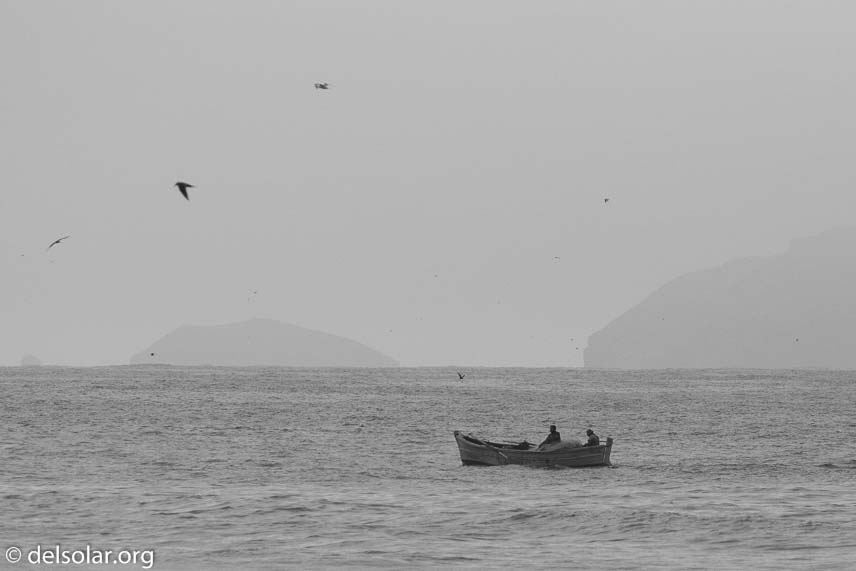 Canon EOS 7D Mark II  --  300 mm  --  EF100-400mm f/4.5-5.6L IS II USM  