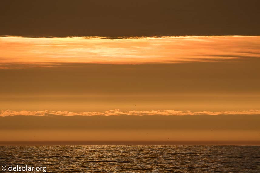 Canon EOS 7D Mark II  --  321 mm  --  EF100-400mm f/4.5-5.6L IS II USM  