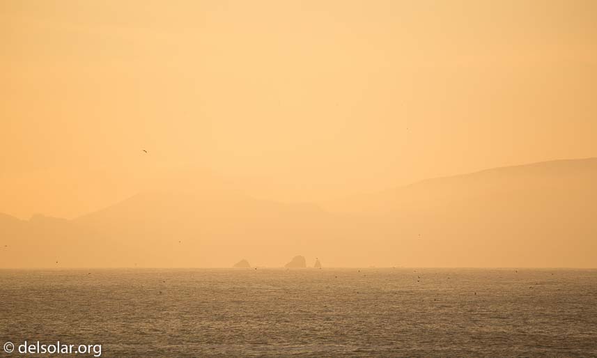 Canon EOS 5D Mark III  --  400 mm  --  EF100-400mm f/4.5-5.6L IS II USM  