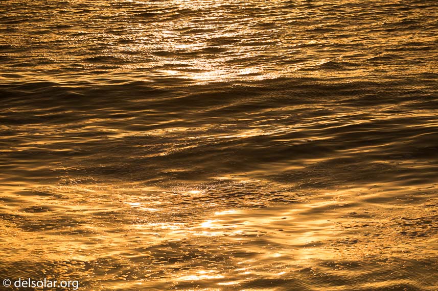 Canon EOS 5D Mark III  --  227 mm  --  EF100-400mm f/4.5-5.6L IS II USM  