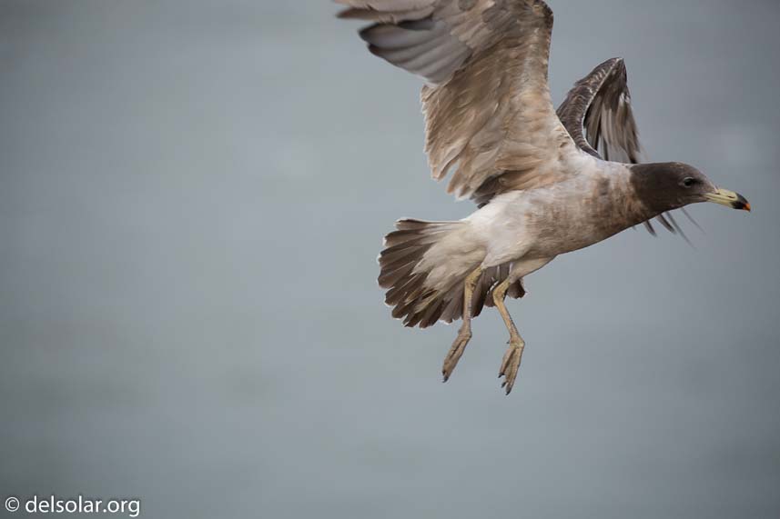 Canon EOS 5D Mark III  --  400 mm  --  EF100-400mm f/4.5-5.6L IS II USM  