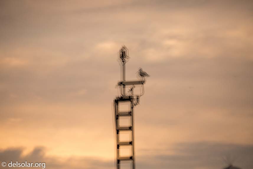 Canon EOS 5D Mark III  --  248 mm  --  EF100-400mm f/4.5-5.6L IS II USM  