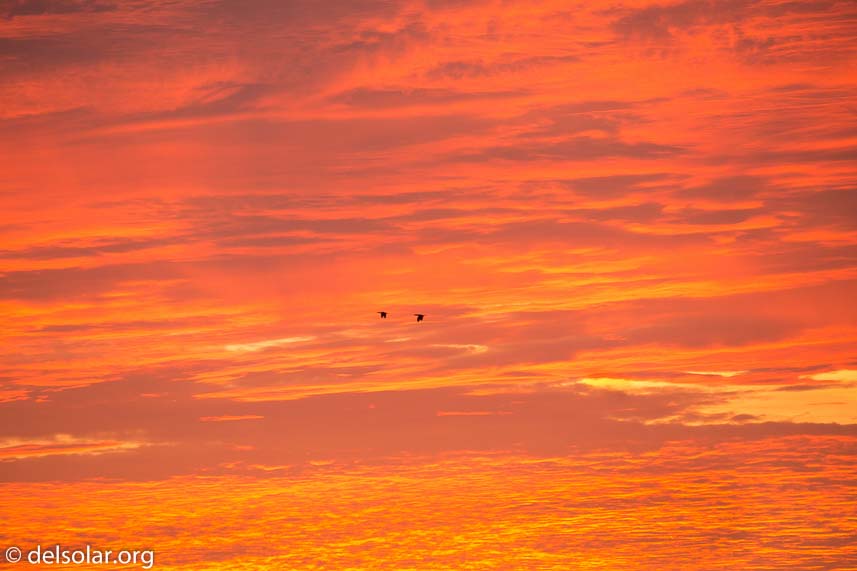 Canon EOS 5D Mark III  --  312 mm  --  EF100-400mm f/4.5-5.6L IS II USM  