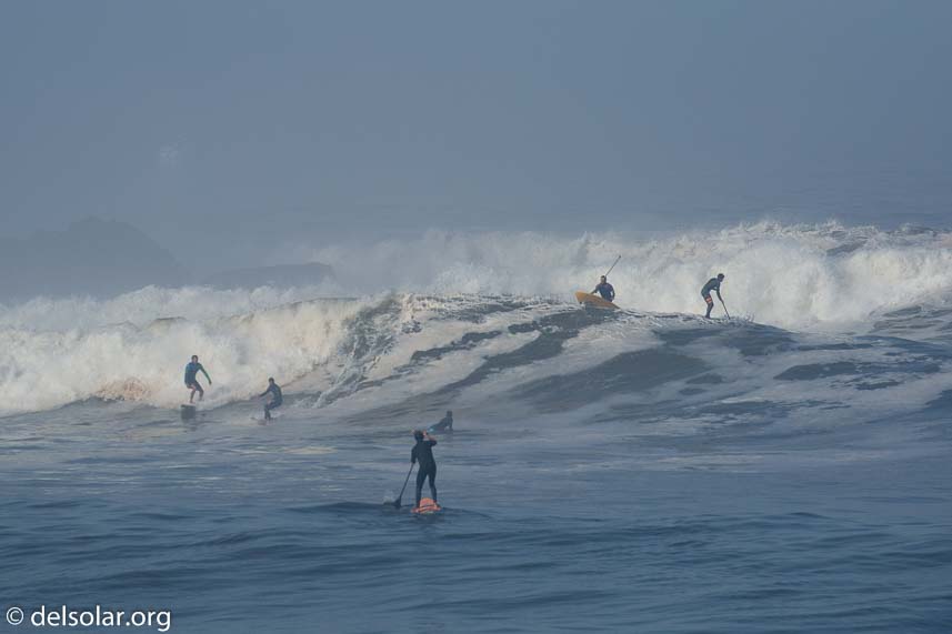 Canon EOS 5D Mark III  --  330 mm  --  EF100-400mm f/4.5-5.6L IS II USM  