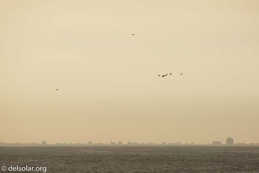 Canon EOS 5D Mark III  --  300 mm  --  EF100-400mm f/4.5-5.6L IS II USM  