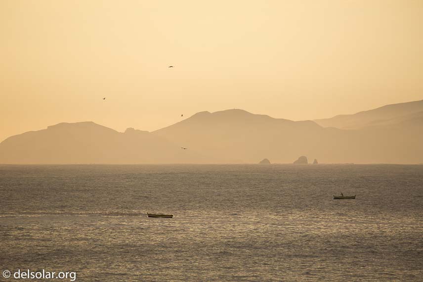 Canon EOS 5D Mark III  --  400 mm  --  EF100-400mm f/4.5-5.6L IS II USM  