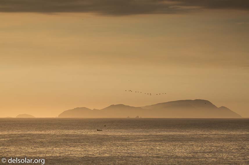 Canon EOS 5D Mark III  --  170 mm  --  EF100-400mm f/4.5-5.6L IS II USM  