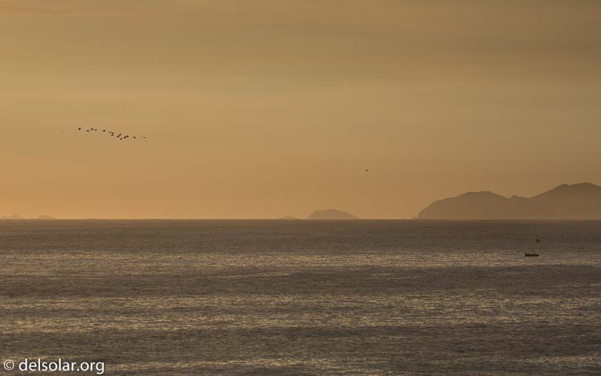 Canon EOS 5D Mark III  --  170 mm  --  EF100-400mm f/4.5-5.6L IS II USM  