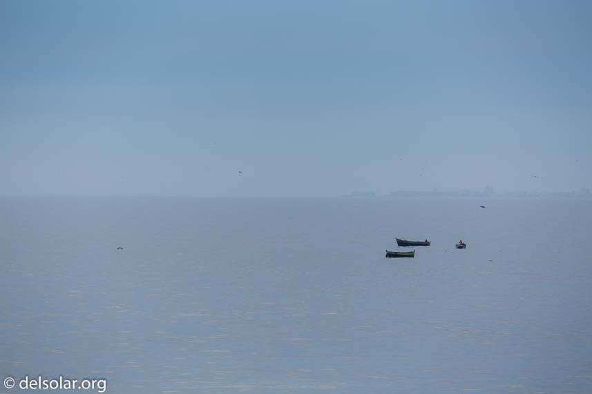 Canon EOS 5D Mark III  --  400 mm  --  EF100-400mm f/4.5-5.6L IS II USM  