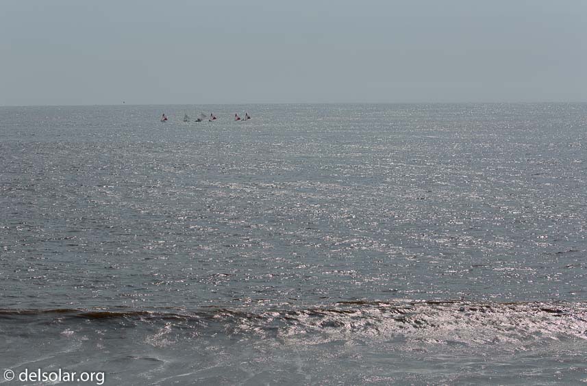 Canon EOS 5D Mark III  --  100 mm  --  EF100-400mm f/4.5-5.6L IS II USM  