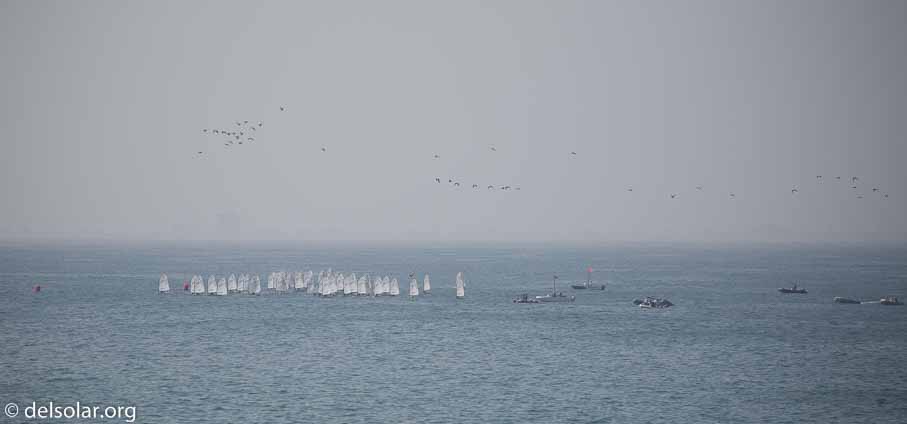 Canon EOS 5D Mark III  --  400 mm  --  EF100-400mm f/4.5-5.6L IS II USM  