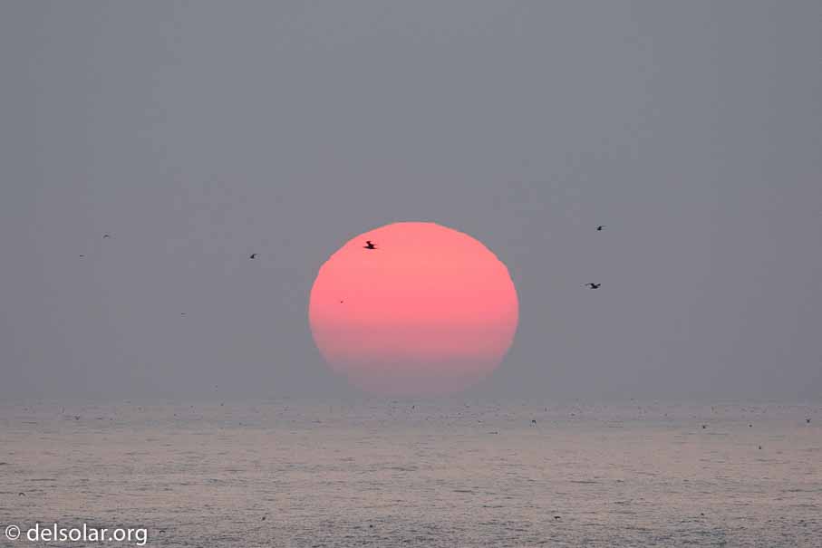 Canon EOS 5D Mark III  --  400 mm  --  EF100-400mm f/4.5-5.6L IS II USM  