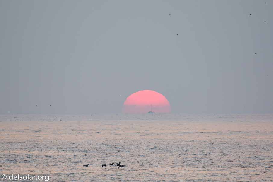 Canon EOS 5D Mark III  --  400 mm  --  EF100-400mm f/4.5-5.6L IS II USM  