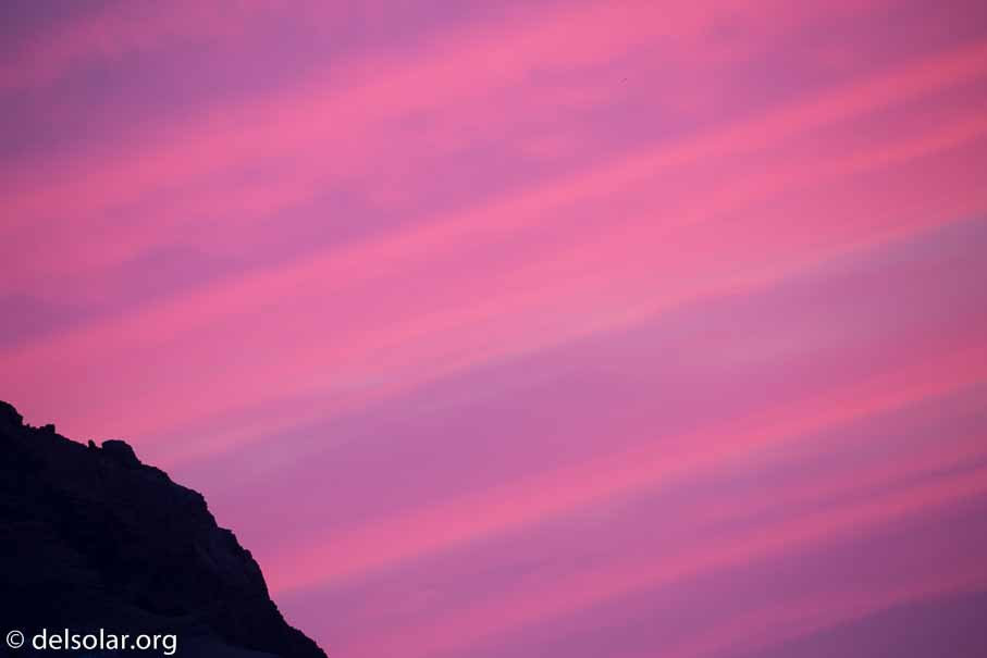 Canon EOS 5D Mark III  --  300 mm  --  EF100-400mm f/4.5-5.6L IS II USM  