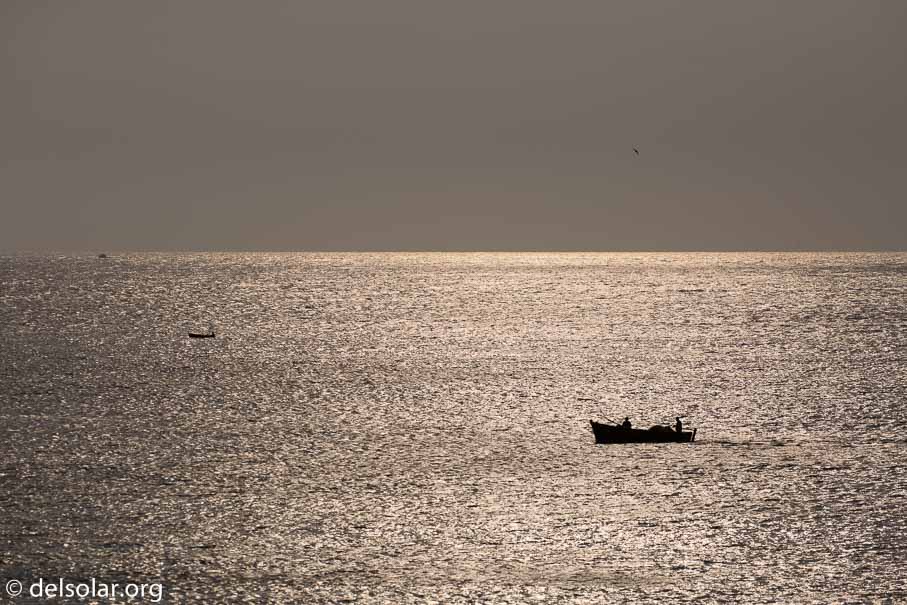 Canon EOS 5D Mark III  --  234 mm  --  EF100-400mm f/4.5-5.6L IS II USM  