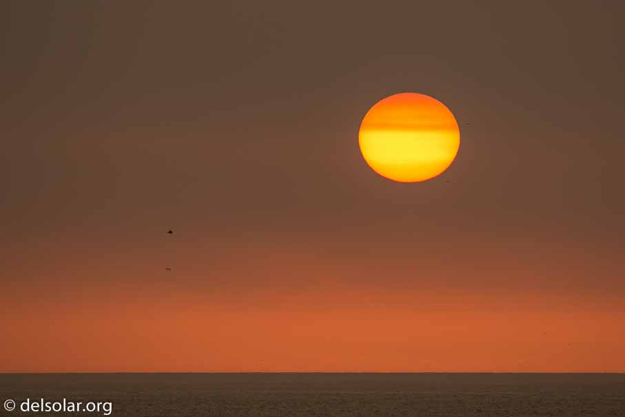 Canon EOS 5D Mark III  --  360 mm  --  EF100-400mm f/4.5-5.6L IS II USM  