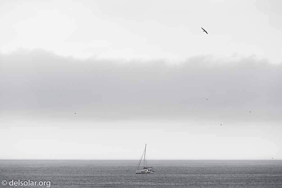 Canon EOS 5D Mark III  --  234 mm  --  EF100-400mm f/4.5-5.6L IS II USM  