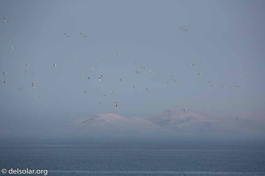 Canon EOS 5D Mark III  --  312 mm  --  EF100-400mm f/4.5-5.6L IS II USM  