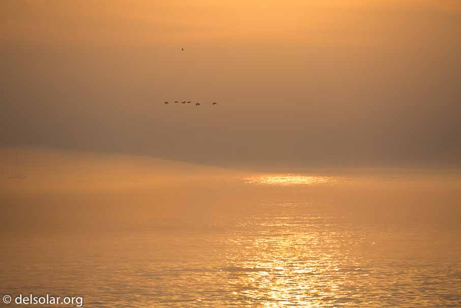 Canon EOS 5D Mark III  --  400 mm  --  EF100-400mm f/4.5-5.6L IS II USM  