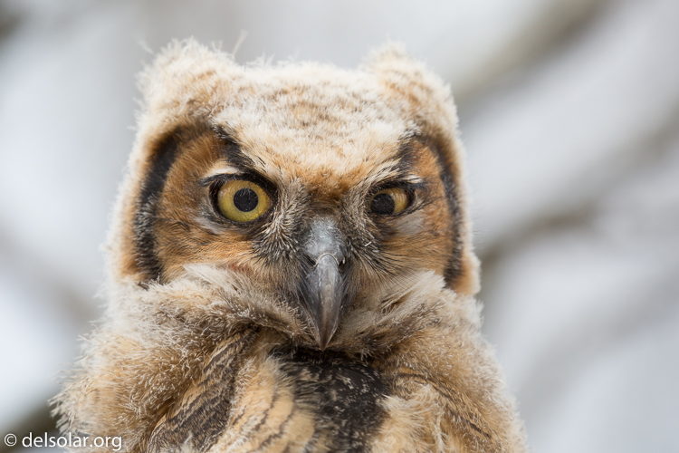 Canon EOS 5D Mark III  --  371 mm  --  EF100-400mm f/4.5-5.6L IS II USM  