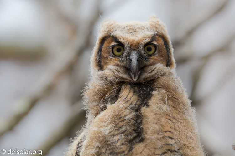 Canon EOS 5D Mark III  --  220 mm  --  EF100-400mm f/4.5-5.6L IS II USM  