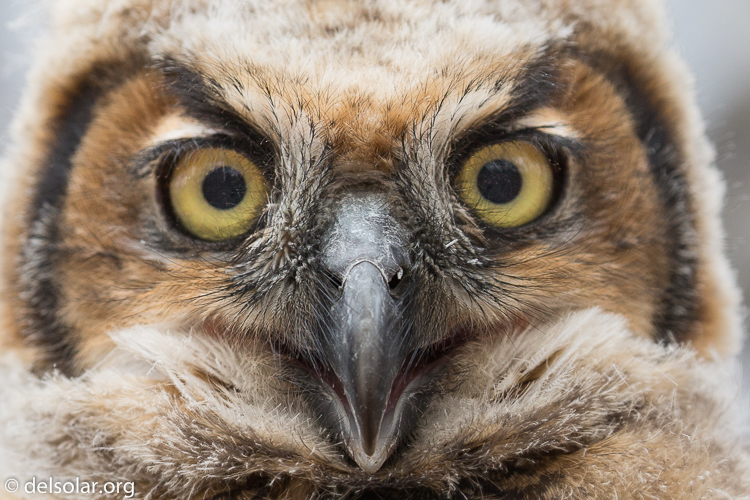 Canon EOS 5D Mark III  --  286 mm  --  EF100-400mm f/4.5-5.6L IS II USM  