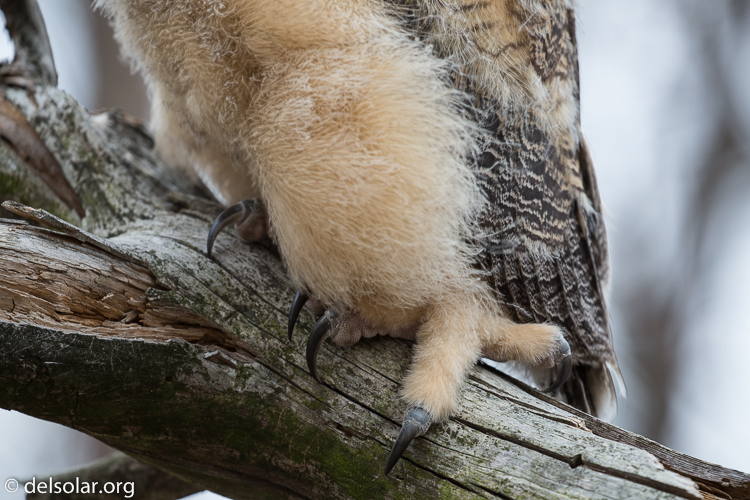 Canon EOS 5D Mark III  --  400 mm  --  EF100-400mm f/4.5-5.6L IS II USM  