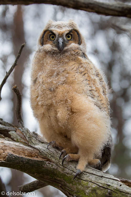 Canon EOS 5D Mark III  --  142 mm  --  EF100-400mm f/4.5-5.6L IS II USM  