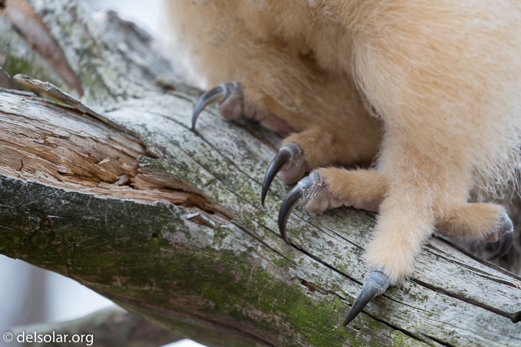 Canon EOS 5D Mark III  --  400 mm  --  EF100-400mm f/4.5-5.6L IS II USM  