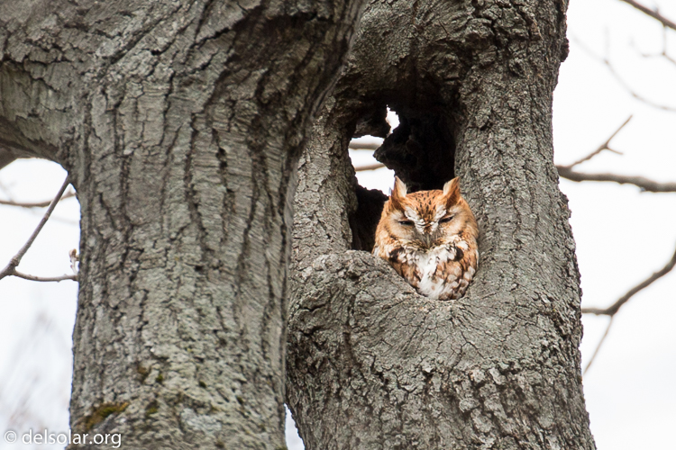 Canon EOS 5D Mark III  --  371 mm  --  EF100-400mm f/4.5-5.6L IS II USM  