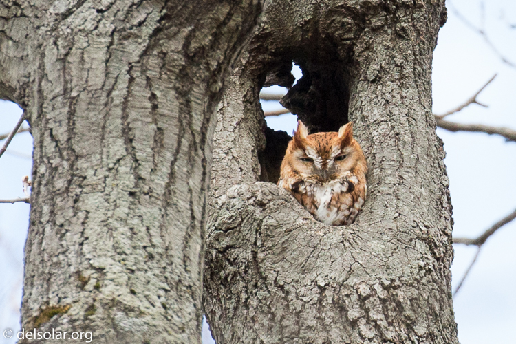 Canon EOS 5D Mark III  --  371 mm  --  EF100-400mm f/4.5-5.6L IS II USM  