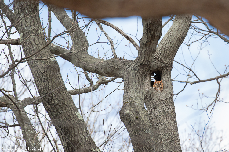 Canon EOS 5D Mark III  --  371 mm  --  EF100-400mm f/4.5-5.6L IS II USM  