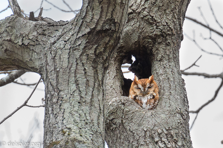 Canon EOS 5D Mark III  --  371 mm  --  EF100-400mm f/4.5-5.6L IS II USM  