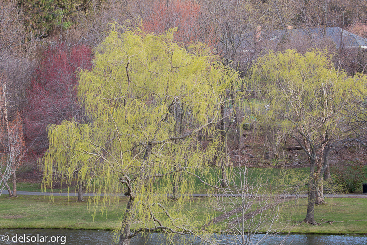 Canon EOS 5D Mark III  --  148 mm  --  EF100-400mm f/4.5-5.6L IS II USM  