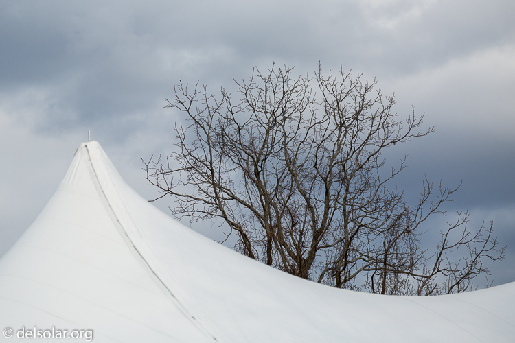 Canon EOS 5D Mark III  --  255 mm  --  EF100-400mm f/4.5-5.6L IS II USM  