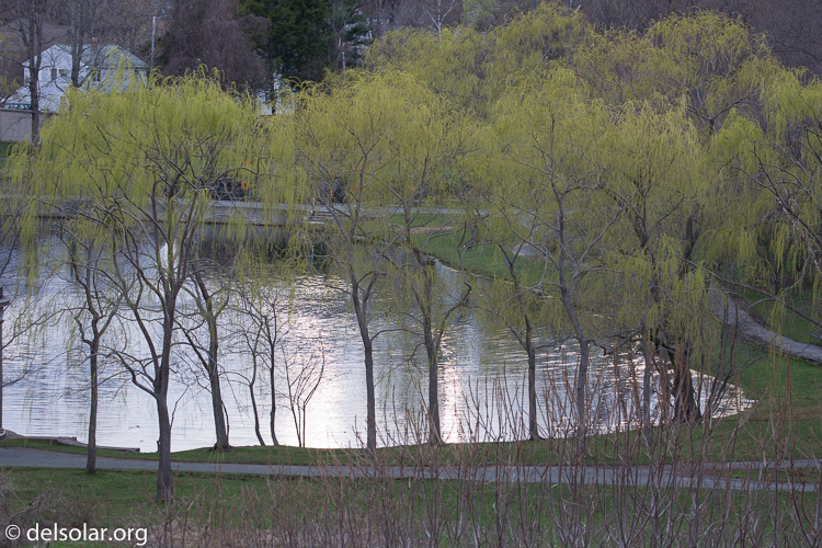 Canon EOS 5D Mark III  --  164 mm  --  EF100-400mm f/4.5-5.6L IS II USM  