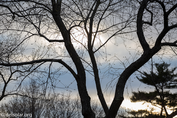 Canon EOS 5D Mark III  --  255 mm  --  EF100-400mm f/4.5-5.6L IS II USM  