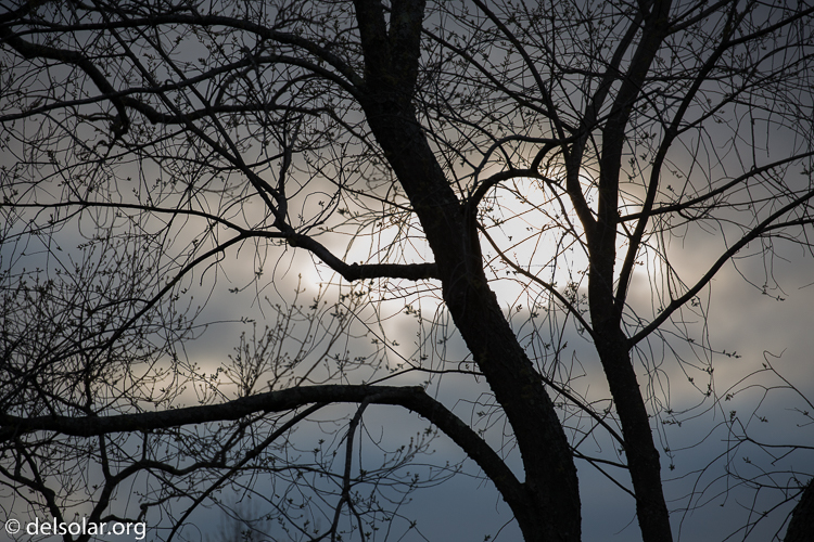 Canon EOS 5D Mark III  --  360 mm  --  EF100-400mm f/4.5-5.6L IS II USM  