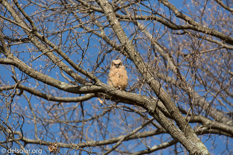 Canon EOS 5D Mark III  --  400 mm  --  EF100-400mm f/4.5-5.6L IS II USM  
