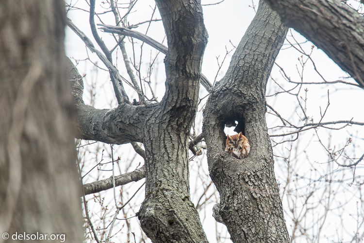 Canon EOS 5D Mark III  --  400 mm  --  EF100-400mm f/4.5-5.6L IS II USM  