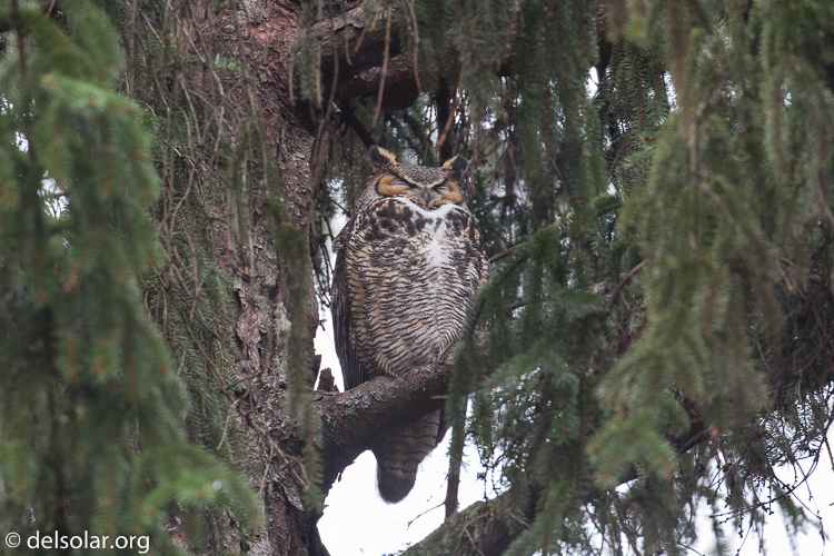 Canon EOS 5D Mark III  --  400 mm  --  EF100-400mm f/4.5-5.6L IS II USM  