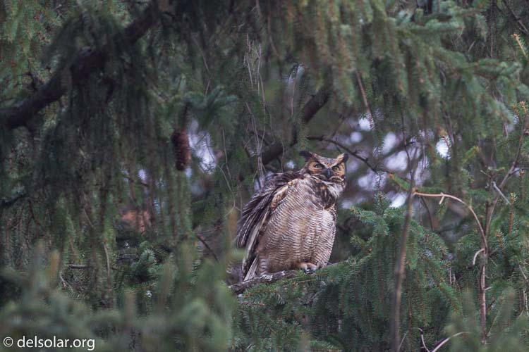 Canon EOS 7D  --  400 mm  --  EF400mm f/5.6L USM  