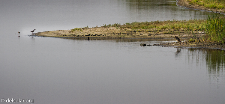 Canon EOS 7D  --  321 mm  --  EF100-400mm f/4.5-5.6L IS II USM  