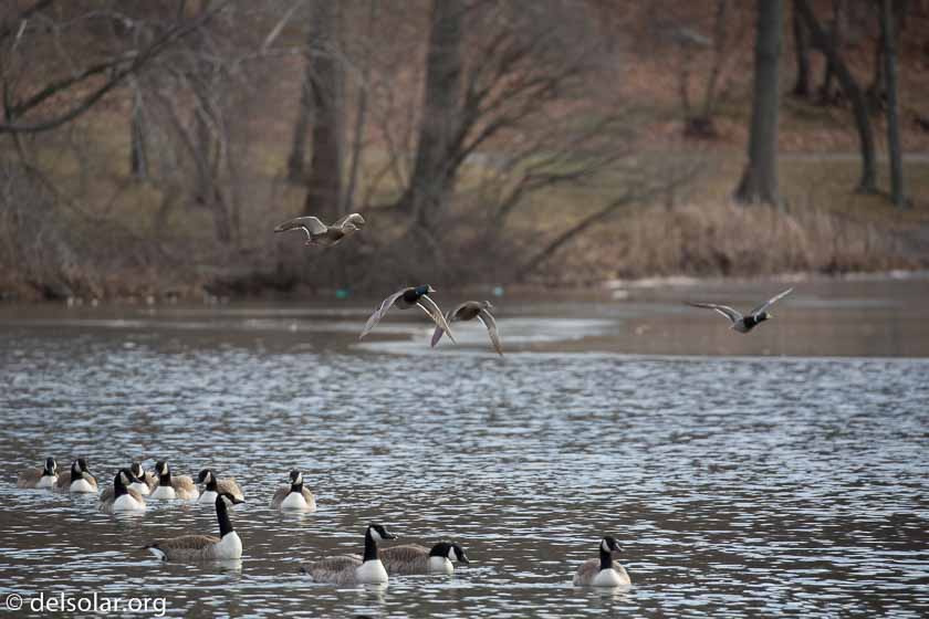 Canon EOS 5D Mark III  --  371 mm  --  EF100-400mm f/4.5-5.6L IS II USM  