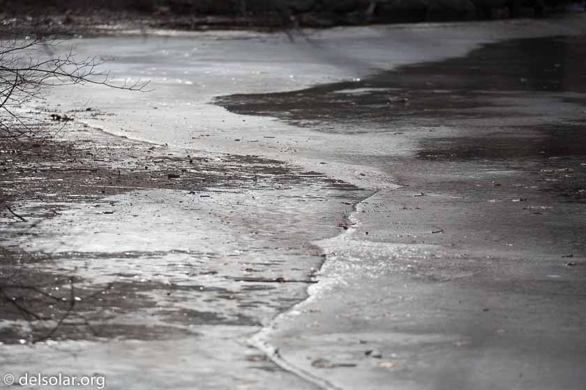 Canon EOS 5D Mark III  --  312 mm  --  EF100-400mm f/4.5-5.6L IS II USM  